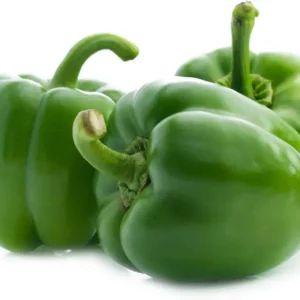 Capsicum